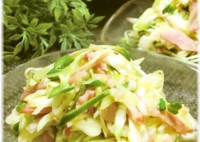 A Mountain of Spring Cabbage Grilled Pork Salad