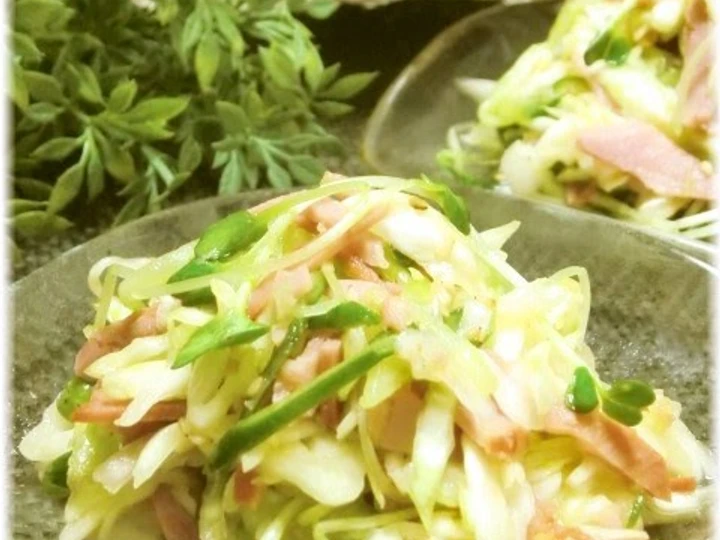 Easy Steps to Prepare Recipe A Mountain of Spring Cabbage Grilled Pork Salad that is Delicious, Can Spoil the Tongue}