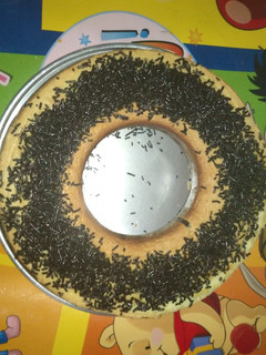 Foto resep Bolu jadul