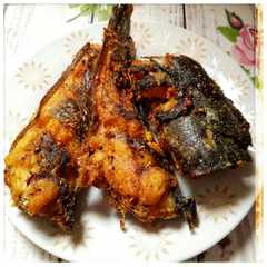 A picture of Lele Goreng Gurih.