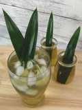 🧑🏽‍🍳🧑🏼‍🍳Authentic Thai Recipe for Pandan Iced Tea •Pandan Drink •Nam Bai Toey |ThaiChef Food