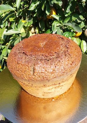 Una foto de Torta de miel negra (miel de caña)