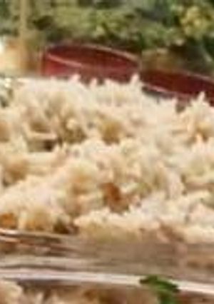 A picture of Keema rice.