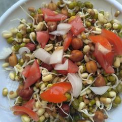 A picture of Sprouted chat.