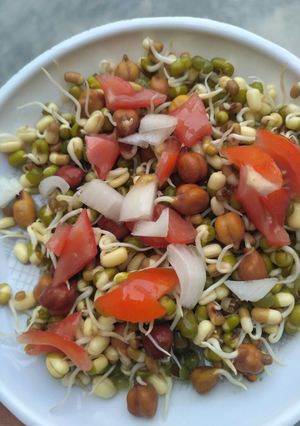 A picture of Sprouted chat.