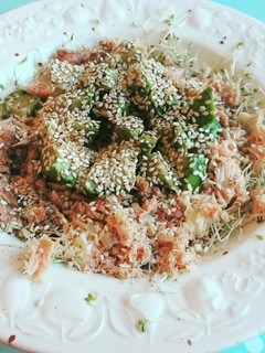 A picture of Delicious Alfalfa Salad.