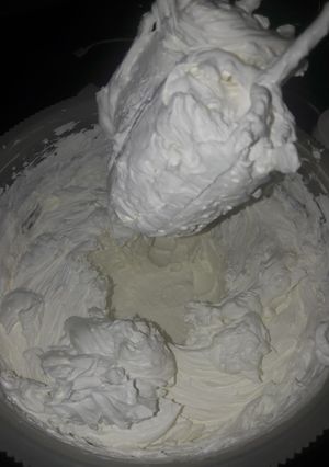 عکسی از دستور خامه فرم گرفته