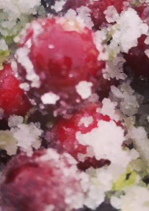 A picture of Lime-Sugared Cranberries.