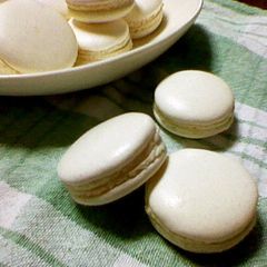 A picture of Sugar Lemon Macarons With No Poser.