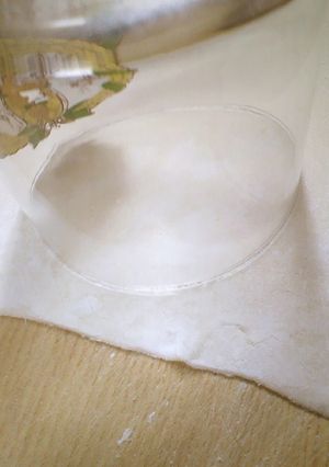 A picture of Easy Handmade Gyoza and Wonton Skins.