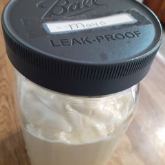 A picture of Homemade Keto Mayonnaise.