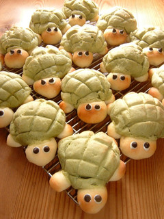 A picture of So Cute! Turtle-Shaped Melon Bread.