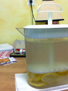 A picture of fresh lemonade.