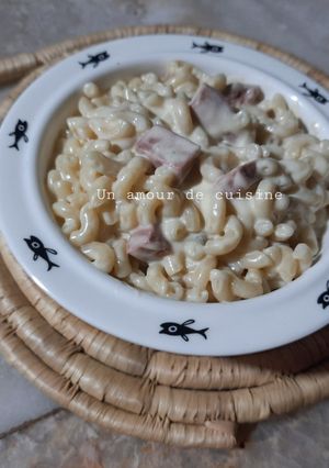Une photo de Coquillettes au saucisson et roquefort 🥣