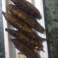 A picture of Bitter Gourd.
