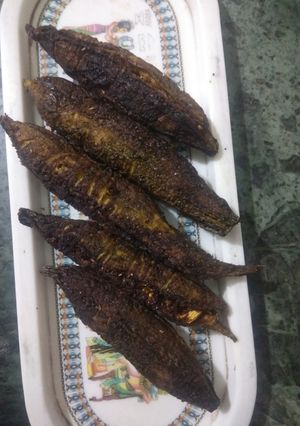 A picture of Bitter Gourd.