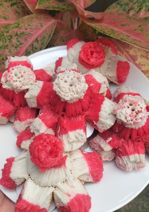 Foto resep Bikang mawar merah putih