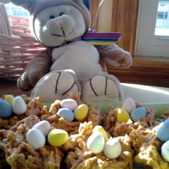 A picture of Butterscotch nests.