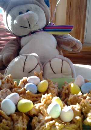 A picture of Butterscotch nests.