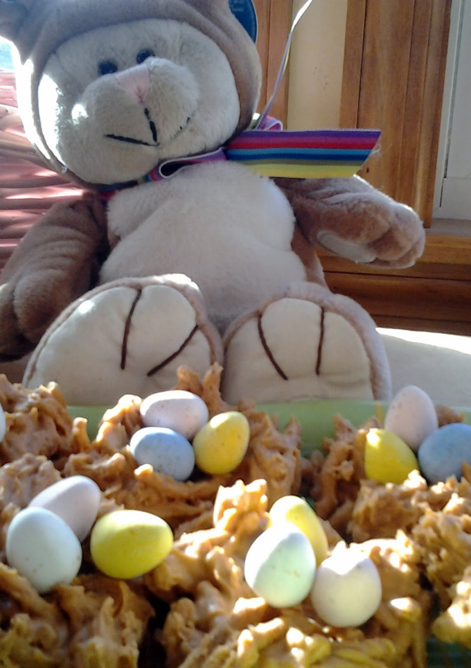 A picture of Butterscotch nests.