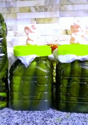 عکسی از دستور 🥒🥒🥒خیارشور