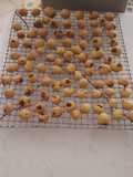 Chocolate chip cookie bites