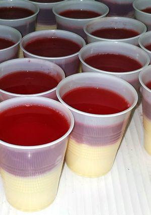 A picture of Jello and flan (Peru).