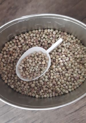 عکسی از دستور تخم گشنیز دارویی موثر برای درمان اختلالات کارکرد تیروئید