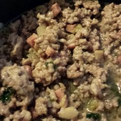 A picture of Elisa's Ground Meat.