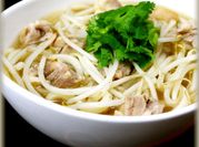 A picture of chicken udon
