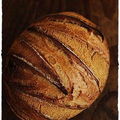 A picture of Soy Flour, Brown Sugar and Sweet Bean Pain de Campagne.