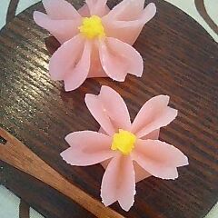 A picture of Elegant Japanese Sweets (Jo-Namagashi) for Spring.