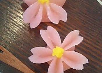 New Recipe Elegant Japanese Sweets JoNamagashi for Spring Delicious Steady