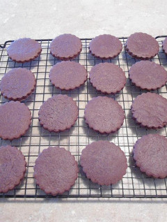 A picture of Chocolate Sugar Cookies.
