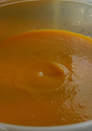 A picture of Creamy Carrot & Coriander Soup 360 ml portion 132cal bowl.