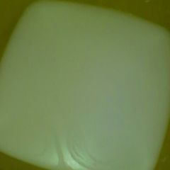 Coconut milk A picture of Coconut milk.