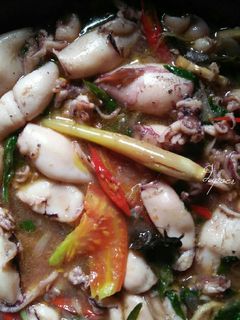 Foto resep Oseng2 Cumi