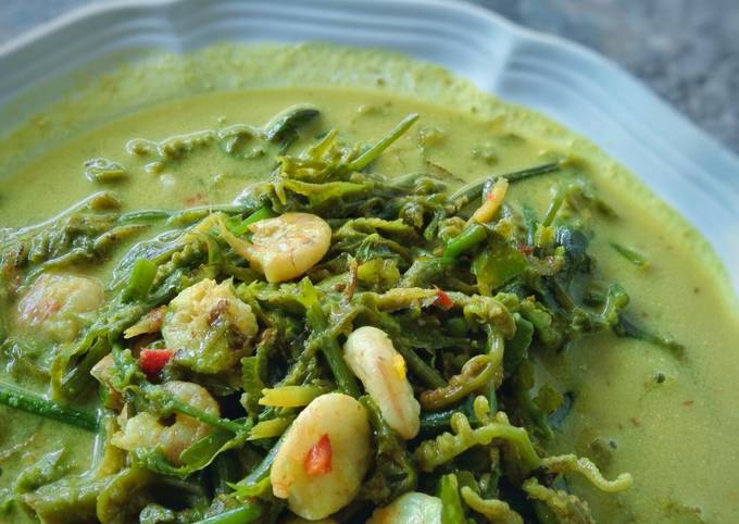 Resipi Masak Lemak Pucuk Paku Oleh Ziana Chesaad Cookpad