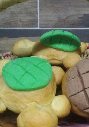 Una foto de Conchas