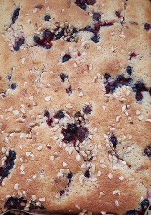 A picture of My Blackcurrant and Hazelnut Traybake.