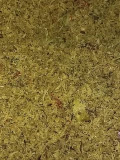 Foto resep Serundeng tongkol