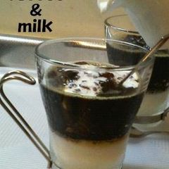 A picture of Coffee and Milk Agar Jello.