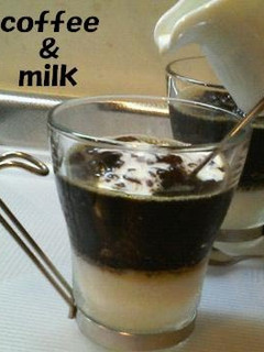 A picture of Coffee and Milk Agar Jello.