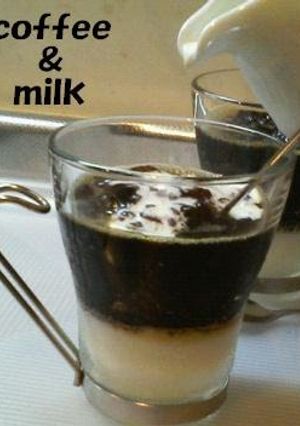 A picture of Coffee and Milk Agar Jello.