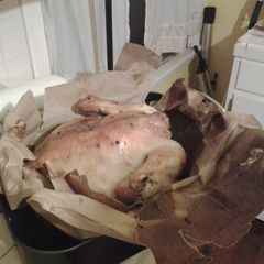 A picture of Upside Down Brown Bag Turkey.