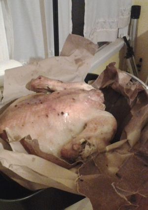 A picture of Upside Down Brown Bag Turkey.