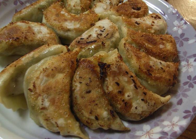 Step-by-Step Guide to Prepare Homemade Jaw-dropping Gyoza Dumplings