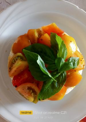 Foto di Cheesecake salata con fette biscottate, stracchino e pomodorini freschi