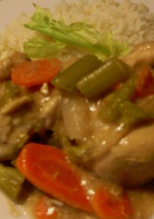 A picture of sunshine's saucy chicken with veggies.