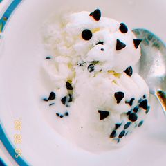 A picture of Vanilla choco chip ice-cream.